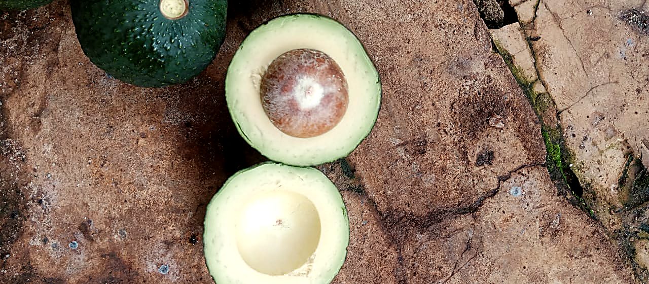 A halved avocado showing the flesh and stone